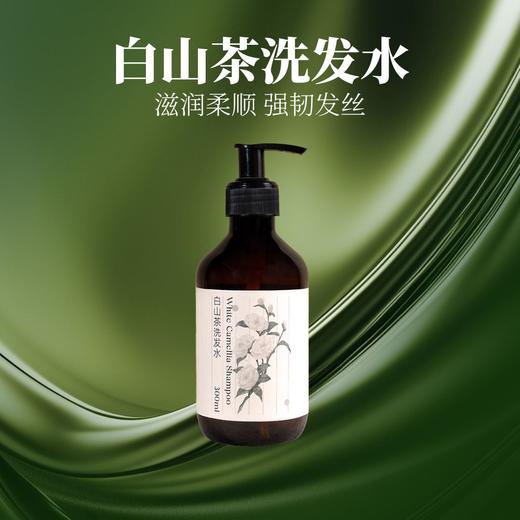 白山茶洗发水 滋养头皮 300ml/瓶 商品图0