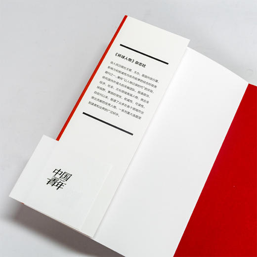 中国青年：青年强 则国强 新时代中国青年邢立达 成蒙 王亚平 叶聪 惠若琪 傅园慧 王曦 《环球人物》杂志社主编 官方正版 商品图3