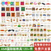 AMI国际版蒙氏教具 AMI数学感官生活科学文化区教具 商品缩略图0