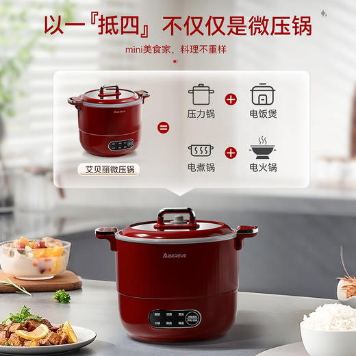艾贝丽液体加热器（多用锅）ABL-WY1249 商品图1
