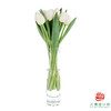 【进口郁金香】 银元（白色单瓣）10枝/扎（长度：35cm） 商品缩略图3