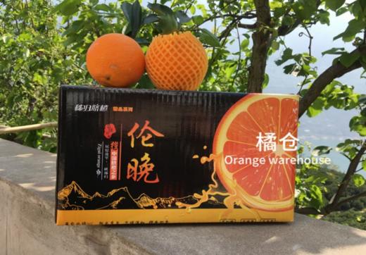 秭归伦晚脐橙-带箱10斤家庭装-（包邮） 【水果】-ZY 商品图2