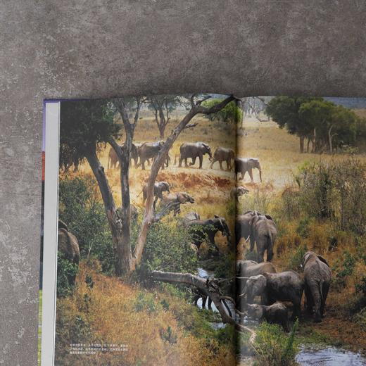 美丽的地球：国家公园，收录中国五大国家公园，精选全球56个国家公园 自然景观 文化地理 商品图6