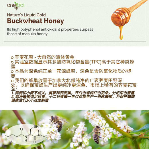 【含邮含税】加拿大Oneroot天然原生态荞麦花蜂蜜 500g/瓶 商品图1