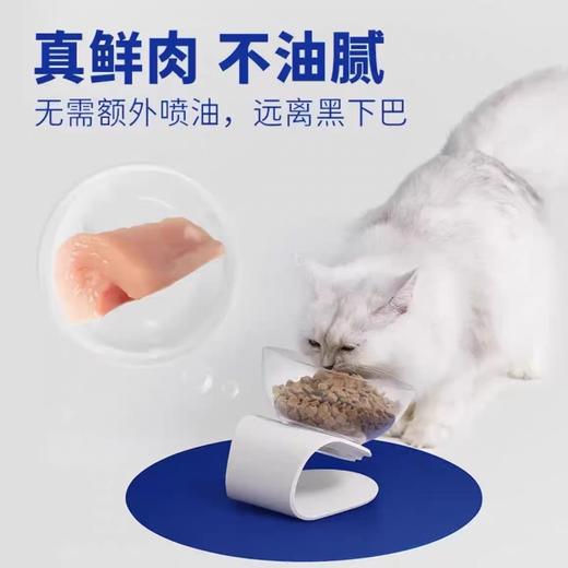 海洋之星鲜肉全价烘焙猫粮1kg 商品图1