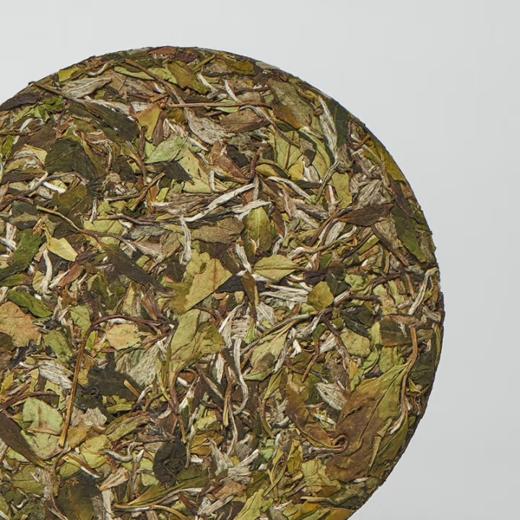 【分销】「茗礼问天下·祥瑞十二兽兔首白牡丹」福鼎高山2021年陈白牡丹茶  一芽两叶精选 天然花果香 收藏级生肖礼盒 商品图2