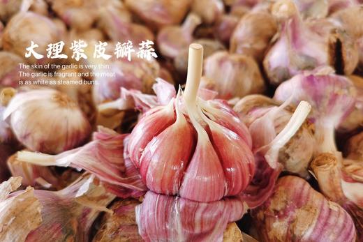 新鲜现挖！大理【紫皮分瓣蒜】 高山种植 味浓辛辣 蒜汁充沛 当季鲜采 增味提鲜 比普通白蒜更香！花青素满满！ 商品图2