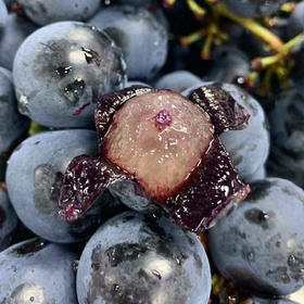 【酸甜可口】蓝莓葡萄 约500g/份