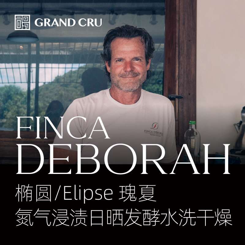 2025新产季 | 黛博拉 | Elipse 椭圆批次 | 氮气浸渍日晒发酵水洗干燥 瑰夏