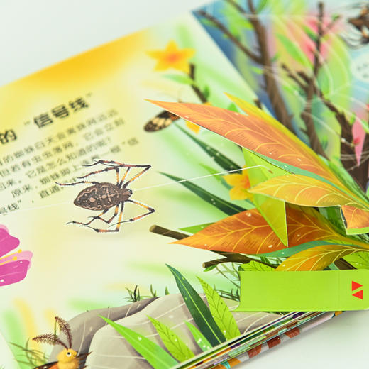 法布尔昆虫记立体书steam探索3岁儿童3d互动立体翻翻书 商品图3