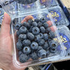 蓝莓🫐 商品缩略图0