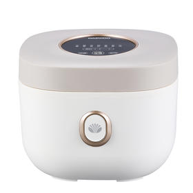 大宇电饭煲 DYFB-424F 升级版(彩邮)