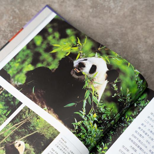 美丽的地球：国家公园，收录中国五大国家公园，精选全球56个国家公园 自然景观 文化地理 商品图5