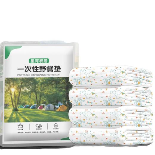 「一次性野餐垫！便携包装」双层印花露营垫 旅游户外烧烤旅行床单加厚防潮防湿野外露营户外装备 商品图4