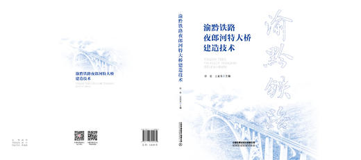 300982 渝黔铁路夜郎河特大桥建造技术 商品图1