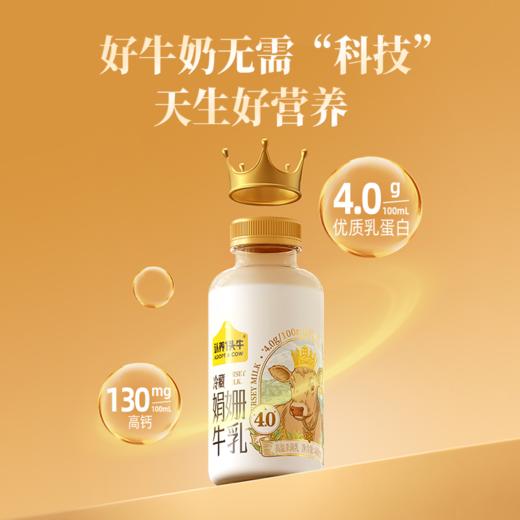认养一头牛冷藏娟姗牛乳(4.0蛋白)400ml*10瓶 商品图3