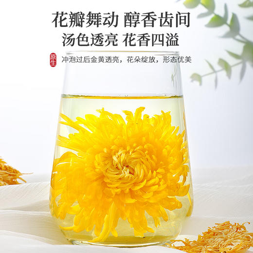【生态有机金丝皇菊】 菊花 高颜值真品质 原色原香原味 饱满金黄形如绣球 商品图2