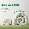 COUNTSHEEP数羊 七孔纤维四季被（常规款）150*200cm 商品缩略图4