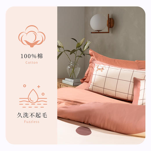 喵先森全棉绣花四件套 商品图3