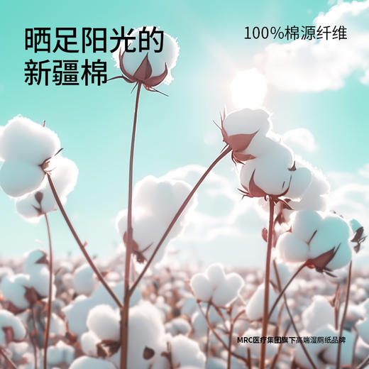 ⁵【蓝狮子-洗脸巾】100%棉源纤维 干湿两用 一包70抽  YY05-YSZJ 商品图2