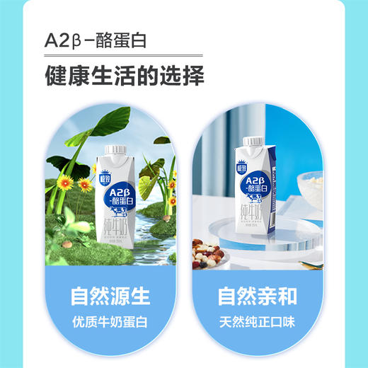 【快递到家-常温】A2酪蛋白纯牛奶 250ml*10盒*2提 商品图9