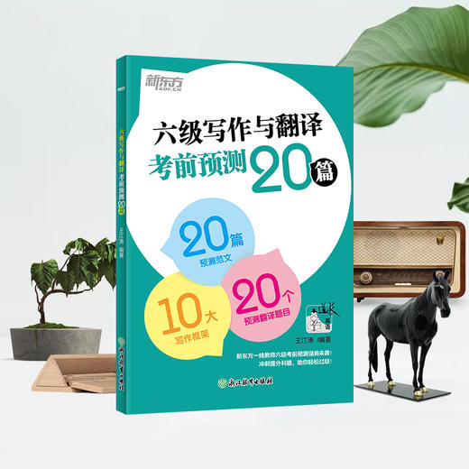 (25) 六级写作与翻译考前预测20篇 商品图1