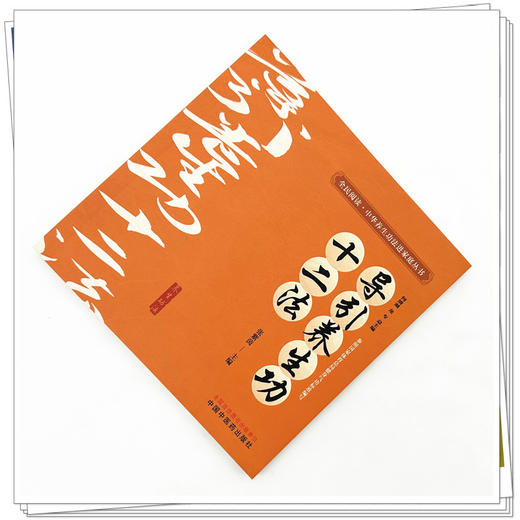 导引养生功十二法 张紫茵 主编 何清湖 龙专 总主编 全民阅读中华养生功法进家庭丛书 中国中医药出版社 商品图1