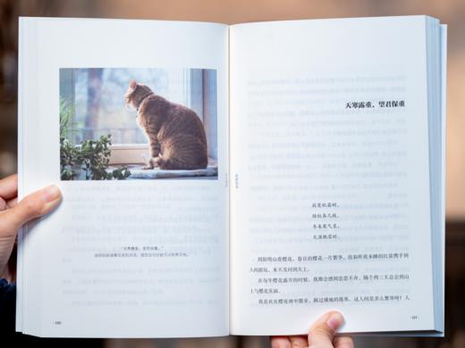 《林清玄治愈全书》（全5册）| 首次完整集结林清玄所有代表作，作者本人执笔四十五周年诚意奉献，当代文坛的一股清泉，人生太累的时候，就看看他 商品图7