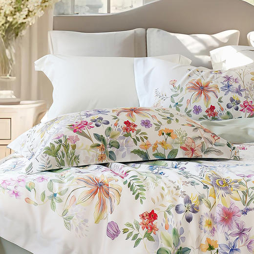 10楼 安睡宝 长绒棉印花四件套-亚莉克 吊牌价3599~3799元  活动价899~999元 商品图2