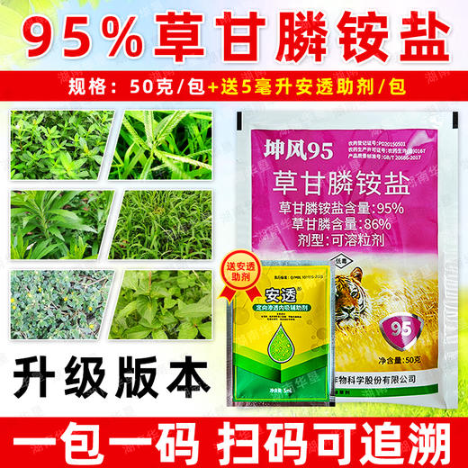 95%草甘膦铵盐柑橘果园除水花生马齿苋小飞蓬专用除草剂正品农用 商品图2