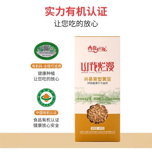 兴县有机肾型黄豆/黑豆 做豆浆生豆芽非转基因老品种400g/盒 商品图4