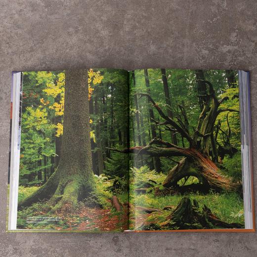 美丽的地球：国家公园，收录中国五大国家公园，精选全球56个国家公园 自然景观 文化地理 商品图4