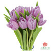 【进口郁金香】 浅紫（浅紫色单瓣）10枝/扎（长度：35cm） 商品缩略图1