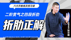 二阶贯气之【四段折肋——折肋正解】六大开教练员预习课