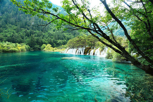 【五一】<成都+九寨沟+都江堰/熊猫乐园二选一+黄龙5天双飞纯玩团>15人精品小团 商品图3