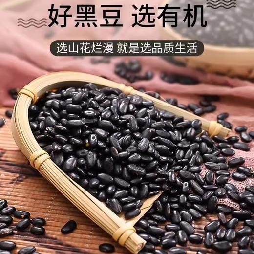 兴县有机肾型黄豆/黑豆 做豆浆生豆芽非转基因老品种400g/盒 商品图6