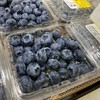 【蜜悦蓝莓】国产蓝莓中的翘楚，吃过一次就会爱上，脆甜口，酸果的几率小，18+的果子吃的过瘾。江浙沪皖顺丰包邮~ 商品缩略图1