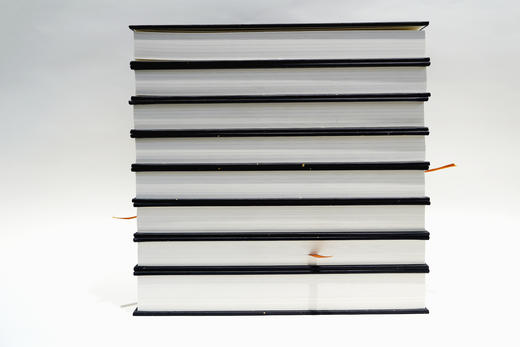 【影印本】刘益春藏清至民国对相杂字文献百种 全8册  刘益春 编著 商品图5