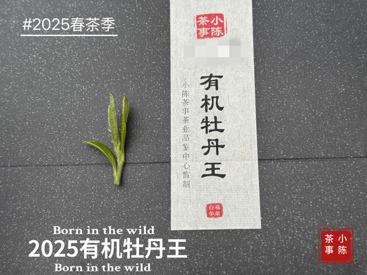 【2025春茶预订】2025有机牡丹王预订，花香温柔轻盈，汤水鲜而嫩，野蘑菇香气十足，毫香的感觉更明显（1斤收藏装） 商品图0