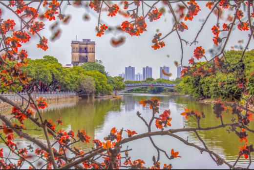 免费公益课程！4.22【花影拾光】拍花技巧揭秘，仅限30位 商品图1