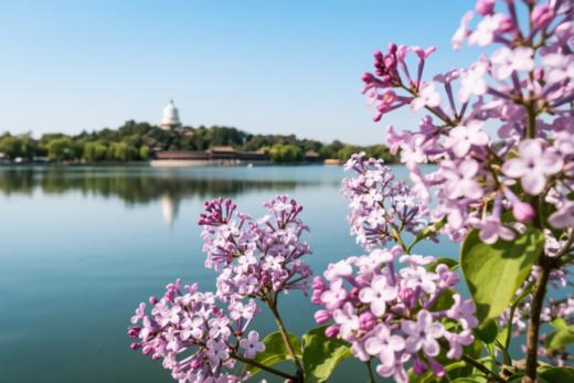 4月21日筑梦中国~北京站（皇城飞花）5天研学摄影 商品图14