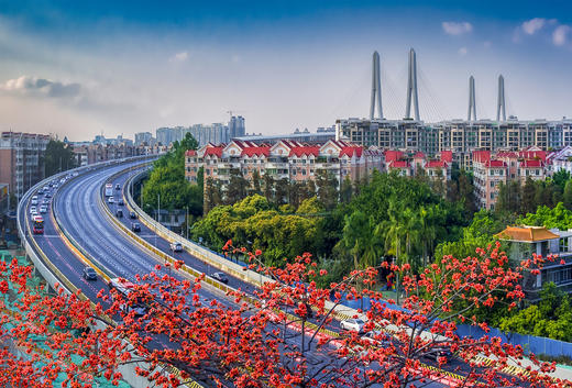 免费公益课程！4.22【花影拾光】拍花技巧揭秘，仅限30位 商品图7