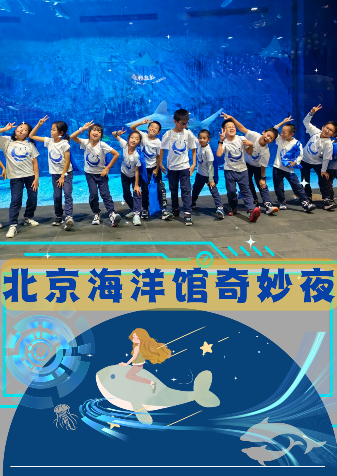 10.25/31/11.15/22/29【海淀·亲子|单飞·夜宿·自驾】北京海洋馆奇妙夜丨“以蔚蓝之名，共赴海洋之约 ”
