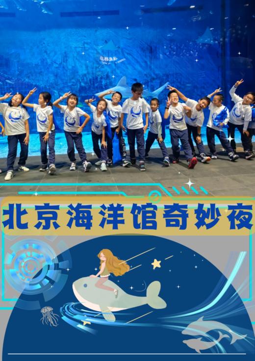 10.25/31/11.15/22/29【海淀·亲子|单飞·夜宿·自驾】北京海洋馆奇妙夜丨“以蔚蓝之名，共赴海洋之约 ” 商品图0