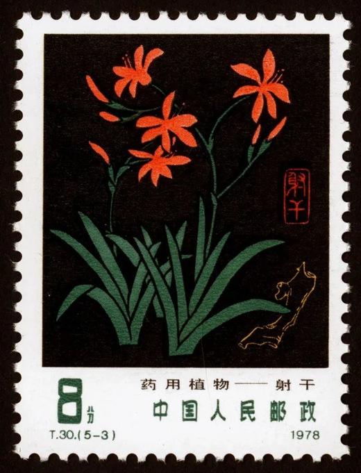 T30《药用植物》1978年 商品图3
