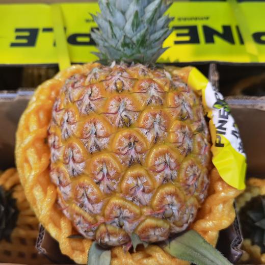 【真的很甜】 芒果凤梨  果肉蜜甜多汁，个大肉厚、香味十足，可以像切西瓜一样切着吃 9甜1酸  近乎纯甜 商品图7