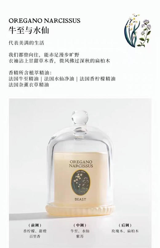 正品野兽派Mini钟罩香薰礼盒
它不仅仅是一个香薰，简直是氛围制造机本机！
家里的小确幸✨让幸福感满屋飘香～

一盒（内含6瓶），天猫498 商品图11