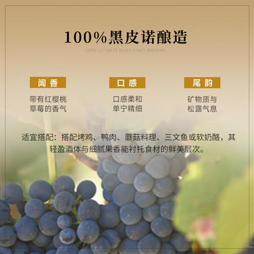 【萨维尼一级园】慕妮思勃艮第一级园干红 荣获四大金奖  24月全新橡木桶陈酿 65年藤木酿造 法国进口 14%vol 商品图6
