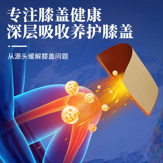 百年扁氏藏关宁风湿关节贴 商品图2