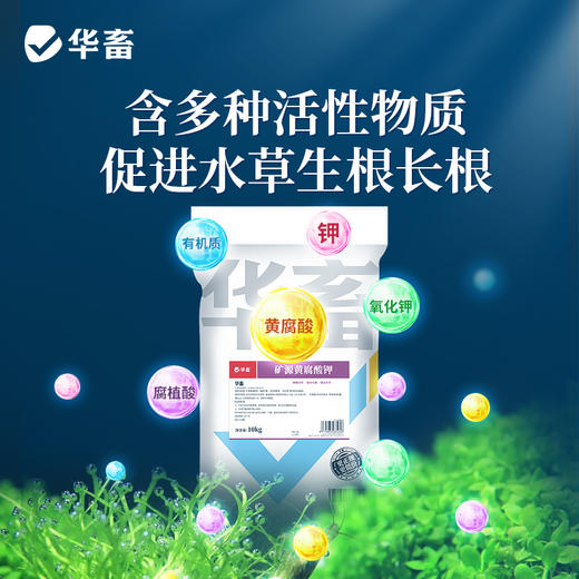 矿源黄腐酸钾20斤去除青苔培水育藻促水草生根改善水色 商品图1